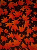 /album/galleria-fotografica/a04-la-pioggia-di-ungaretti-2007-jpg/